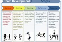 high performance teams