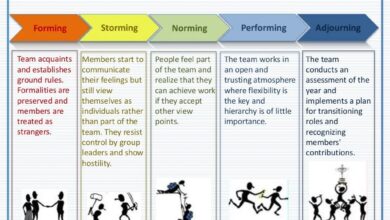 high performance teams